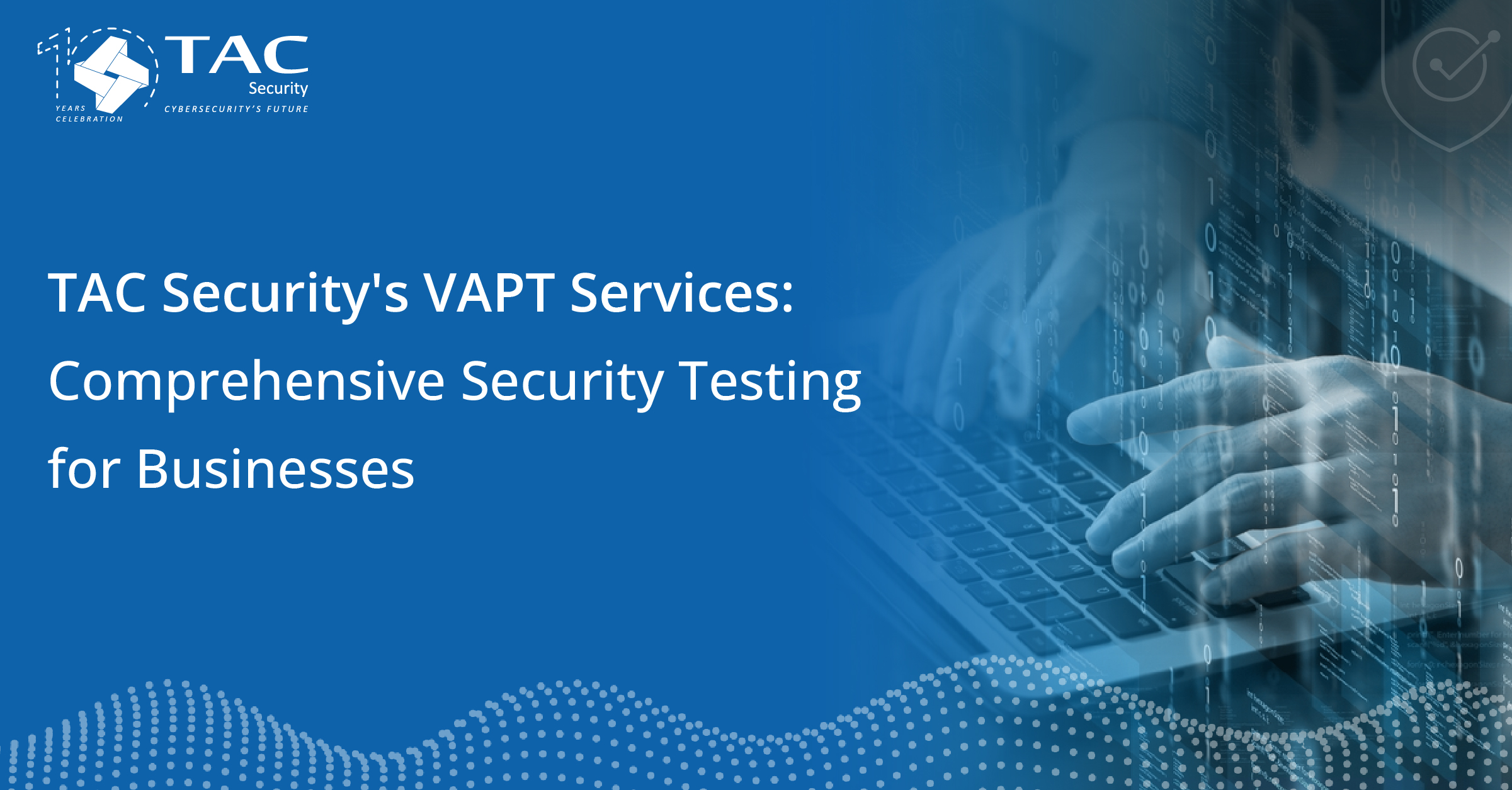 Vulnerability assessment penetration testing services