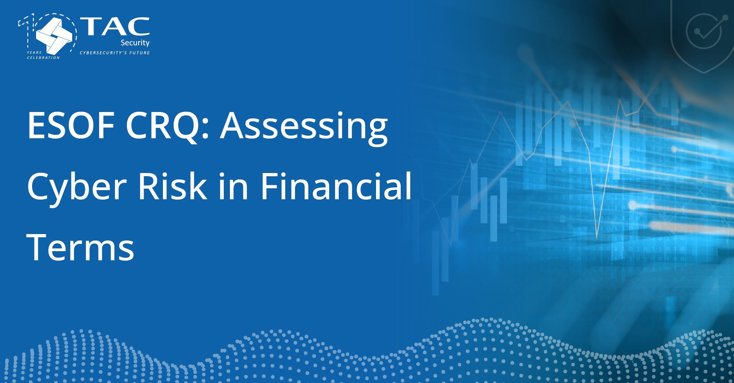 assessing cyber risk in financial terms